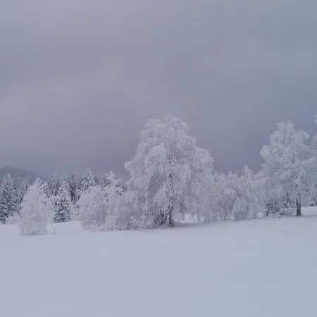 By Pfleger's Lägenhet Ulrichsberg