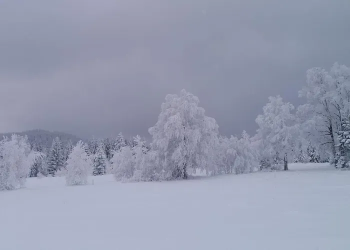 By Pfleger's Daire Ulrichsberg